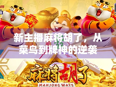 新主播麻将胡了，从菜鸟到牌神的逆袭之路，背后藏着什么秘密？