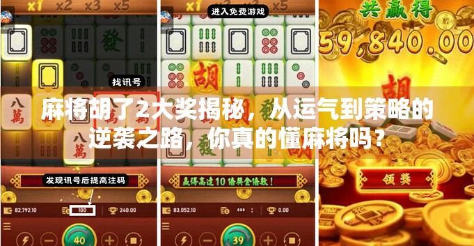 麻将胡了2大奖揭秘,从运气到策略的逆袭之路,你真的懂麻将吗?