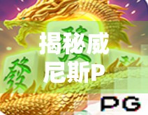 揭秘威尼斯PG麻将胡了规则，从新手到高手的进阶指南！